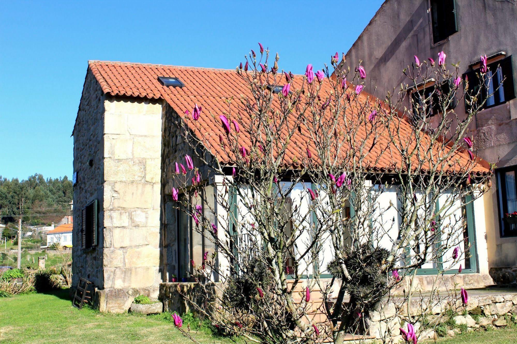 Galicia Getaway - A Casa Dos Cancelos Vilagarcia de Arousa Dış mekan fotoğraf